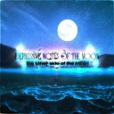 the other side of the moon - Nicotine Ocean