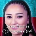 Aysel Sevmez - Qehraman Ordum