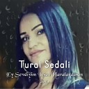 Tural Sedali feat. Ulviyye Hacizade - Ey Sevdiyim Insan Haralardasan 2019