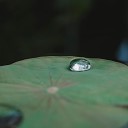 Rain for Deep Sleep Sounds of Nature White Noise for Mindfulness Meditation and Relaxation Nature Sounds Nature… - Storm a Brewing