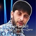 Tural Sedali - Qaradir Taleyim Qara 2018