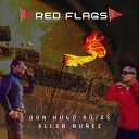 Don Hugo Rojas Allen N ez - Red Flags