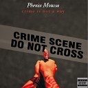 Phenix Moussa - Crime Is Not a Way