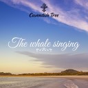 Cavendish Tree - The Whale Singing