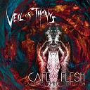 Veil of Thorns - Stillness