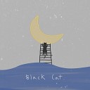 Unknown - Black Cat Instrumental version