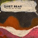 Quiet Bear - Adirondack Love