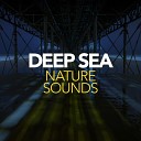 Nature Sounds - Deep Sea