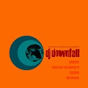 DJ Downfall - Disco Bunnies