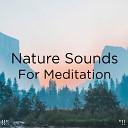 Yoga Sleep Sounds of Nature BodyHI - Binaural Rain