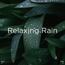 Meditation Rain Sounds Relaxing Rain Sounds… - Sleep Sounds Of The Rainforest