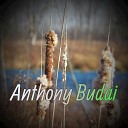 Anthony Budai - Defender Tempo