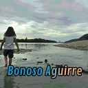 Bonoso Aguirre - Container Active
