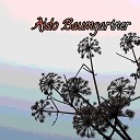 Aido Baumgartner - Sleep Whispers