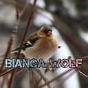 Bianca Wolf - Your Pitch