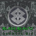 BLACK BEAUTY PROJECT - BEAT ON MIND