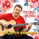 Андрей Вахнин - Поезд на Уренгой