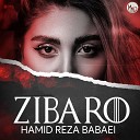 hamidreza babaei - Ziba RO