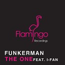 Funkerman feat I Fan - The One Fedde Le Grand Robin M Remix