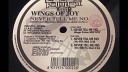 Wings Of Joy - Never Tell Me No Magic Potion Mix