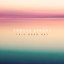 Joshua Spacht - The Best Days Lie Ahead
