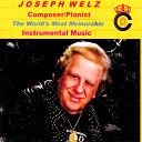 Joseph Welz - In the Shadow of My Broken Heart