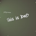 polyroom - This Is Dnb