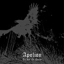 Apolion Italy - To Rot Or Decay