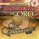 Los Caminantes HN - Tu Nuevo Cari ito