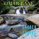 Omar Lane - Imagine an Unfolding