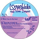Lovebirds feat Stee Downes - Want You In My Soul