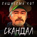 Вишневый кот - Скандал