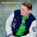 Евгений Сибирцев - Дневник