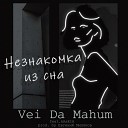 Vei Da Mahum feat kAsEtA - Незнакомка из сна prod by Евгений…