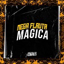 MC MN MC KITINHO DJ MJSP - Mega Flauta Magica