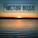 Нетрезвый грузчик - Чистая вода