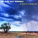 New York Easy Ensemble - My Flesh