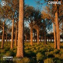 Luciano DnB - In The Wood