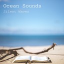 Ocean Sounds - Gentle Evening Waves