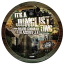 Run Tingz Cru feat David Boomah Blackout JA - It s A Junglist Ting Tester Remix