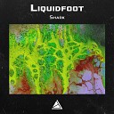 Liquidfoot - Quaggera Swamp