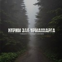 Ришат Тухватуллин - Керим эле урманнарга