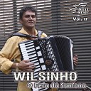 Wilsinho O Fera da Sanfona - Xote Alegre