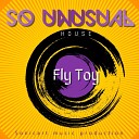 Fly Toy - Bass Drums and Melody Original Mix