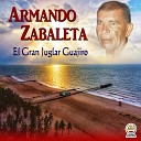 Armando Zabaleta - Ansias de Amar