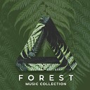 Soothing Music Academy - Natural Forest Sounds