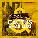 St phane y los cactus amarillos - Un misterio blanco