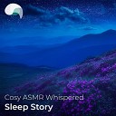 RelaxMyBrain RelaxMyBrain Sleep Stories - Little Ida s Flowers ASMR Sleep Story