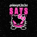 SATS - Музыкалка