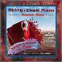 Sting feat Cheb Mami - Desert Rose JOHN LIGHT DJ LION VIP Edit